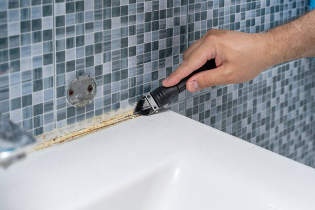 Mold Testing and Removal in White Bluff, TN