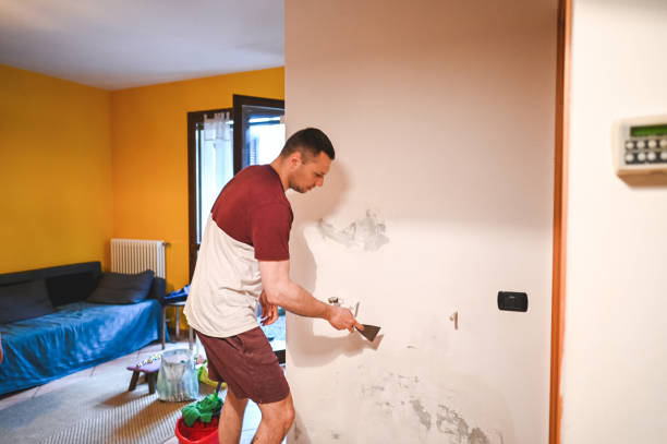 Best Mold Remediation Experts  in White Bluff, TN